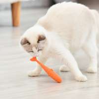 Pet Cat Toothbrush Toy Silicone Catnip Molar Teeth Cleaning Chew Stick